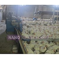 دانخوری اتوماتیک  دانخوری اتوماتیک